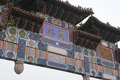 传闻：白金工作室和微软正在准备复活《龙鳞化身》